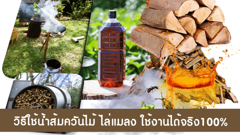 วิธีใช้น้ำส้มควันไม้ ไล่แมลง ใช้งานได้จริง100%