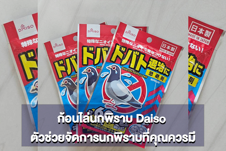 ก้อนไล่นกพิราบ Daiso ตัวช่วยจัดการนกพิราบที่คุณควรมี