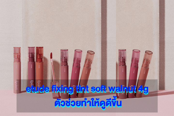 etude fixing tint soft walnut 4g ตัวช่วยทำให้ดูดีขึ้น