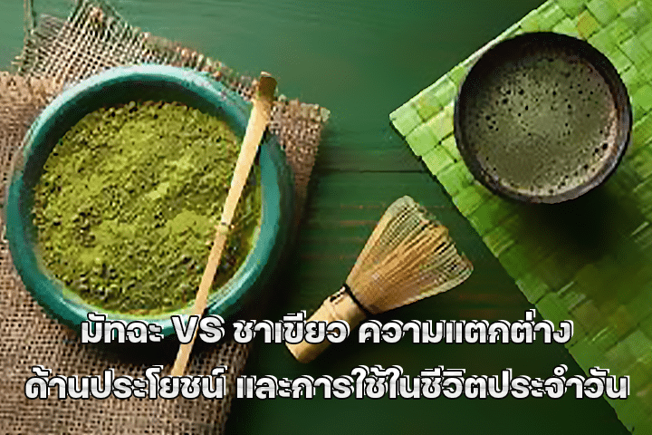 มัทฉะ VS ชาเขียว ความแตกต่างด้านประโยชน์ และการใช้ในชีวิตประจำวัน