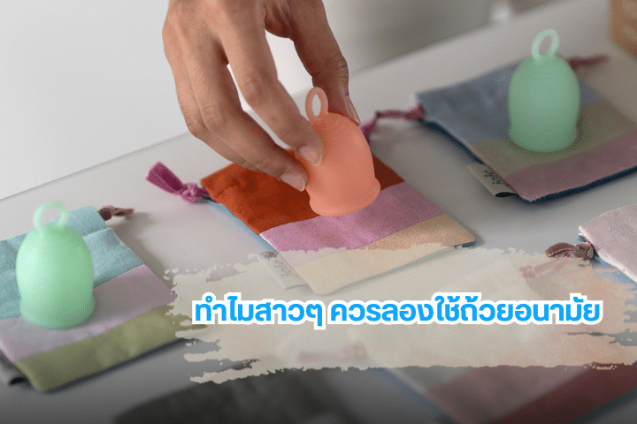 FlowDays หรือ Vaginian ตัวไหนเหมาะกับมือใหม่