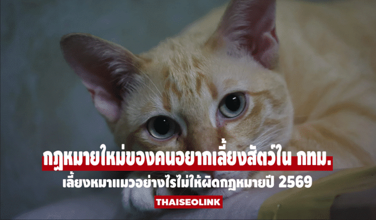 กฎหมายใหม่คนรักสัตว์ในกรุงเทพฯ ต้องรู้! เลี้ยงหมาแมวอย่างไรไม่ให้ผิดกฎหมายปี 2569