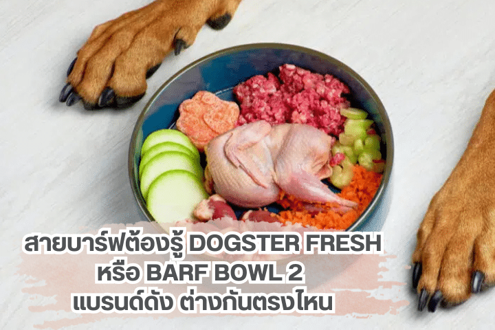 สายบาร์ฟต้องรู้ Dogster Fresh หรือ Barf Bowl