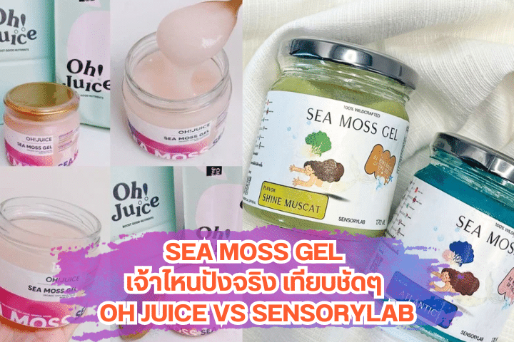 Sea Moss Gel เจ้าไหนปังจริง
