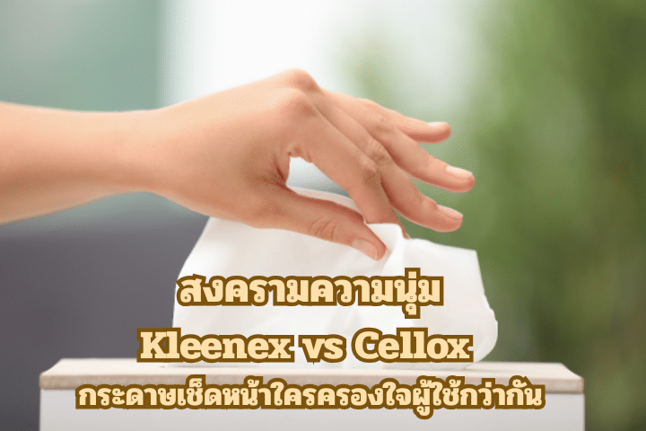 สงครามความนุ่ม Kleenex vs Cellox