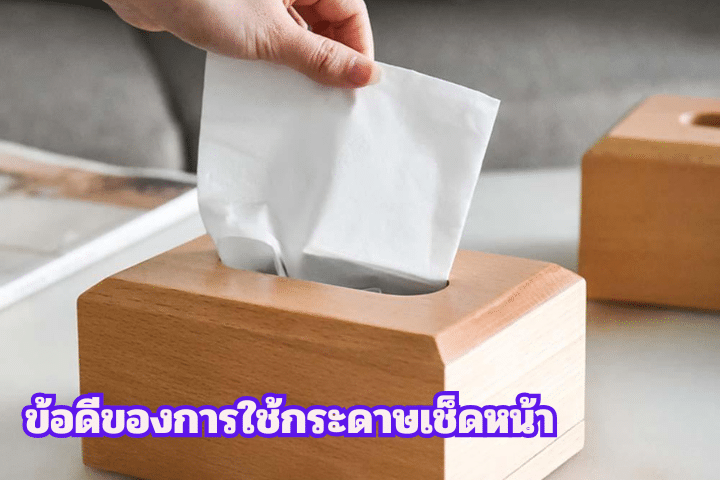 สงครามความนุ่ม Kleenex vs Cellox