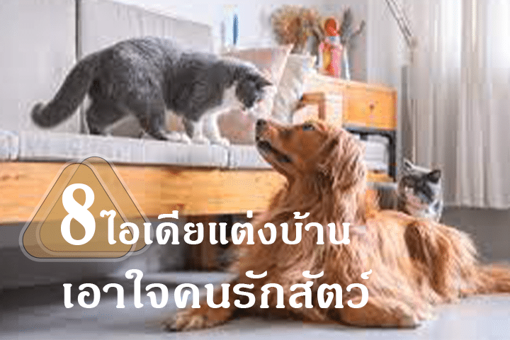 8 ไอเดียแต่งบ้านเอาใจคนรักสัตว์ เปลี่ยนบ้านให้เป็นสวรรค์ของสัตว์เลี้ยง