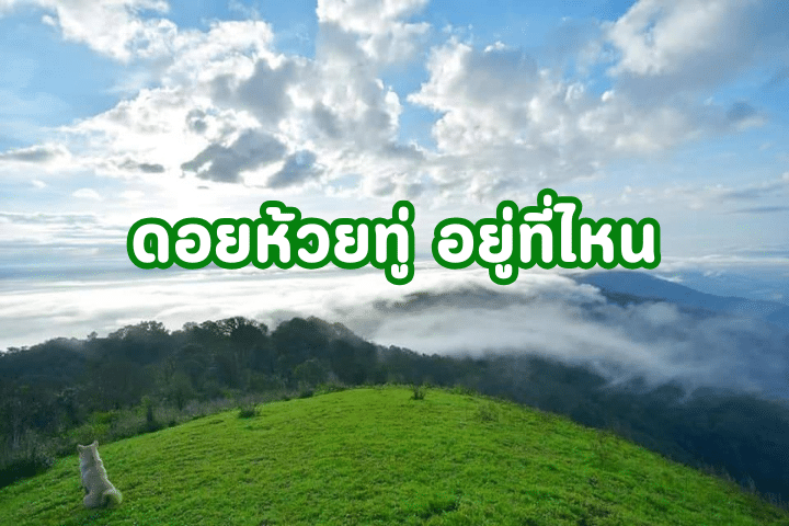 เตรียมตัวยังไงดี