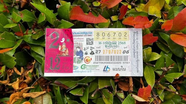 วิเคราะห์แนวทางหวยน้องเพชรกล้า 16/7/68 กับสถิติย้อนหลัง