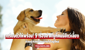 เตรียมตัวให้พร้อม! 5 เรื่องสำคัญที่คนมีสัตว์เลี้ยงต้องรู้ก่อนย้ายบ้านไปอยู่ใหม่