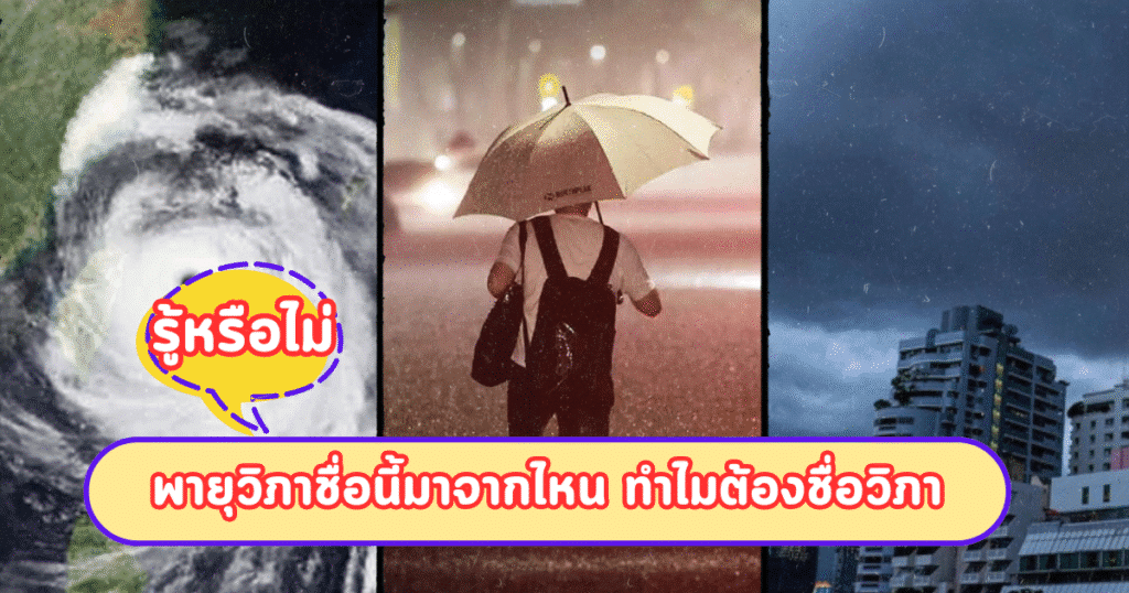 รู้หรือไม่ พายุวิภาชื่อนี้มาจากไหน ทำไมต้องชื่อวิภา