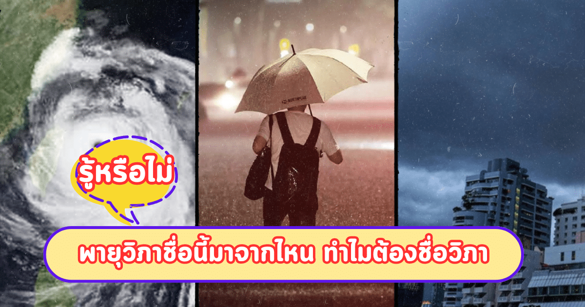 รู้หรือไม่ พายุวิภาชื่อนี้มาจากไหน ทำไมต้องชื่อวิภา
