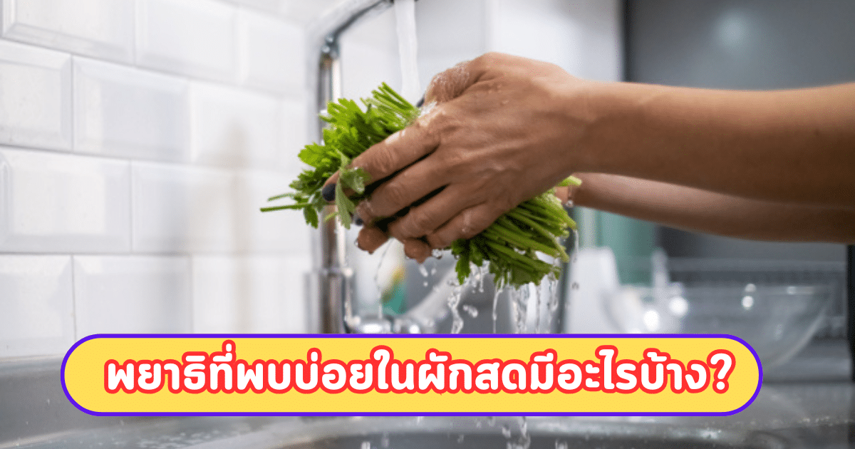 ผักสด กินอย่างไรไม่เสี่ยงพยาธิ